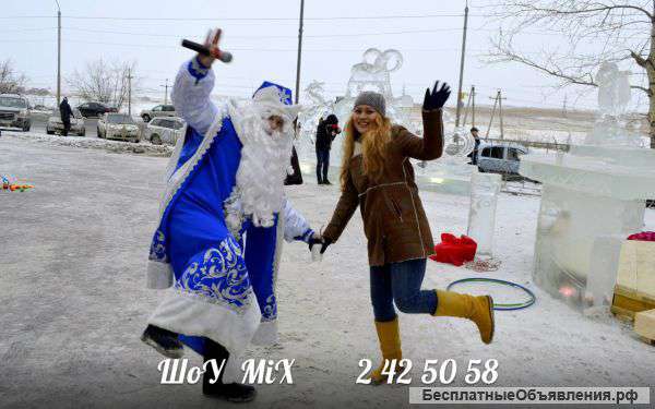 Дед Мороз на дом