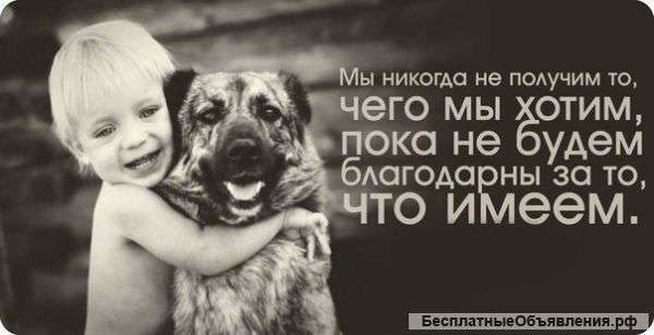 Фрилансер