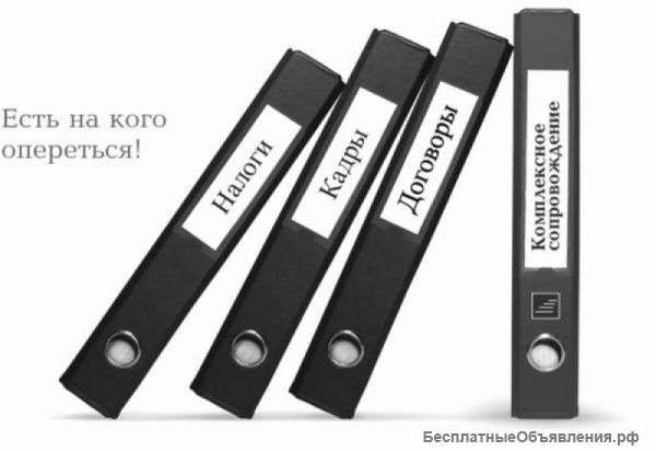 Бухгалтерский учет, отчетность, выписки из ЕГРЮЛ