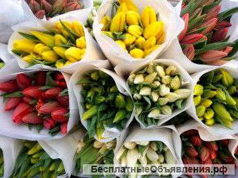 Тюльпаны к 8 марта