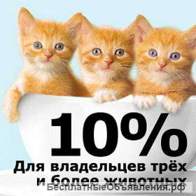 Клиника доктор Zoo проводит акцию