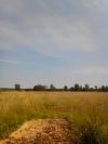 Участок в деревне Дубровка