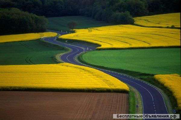 Асфальтные работы, укладка асфальта