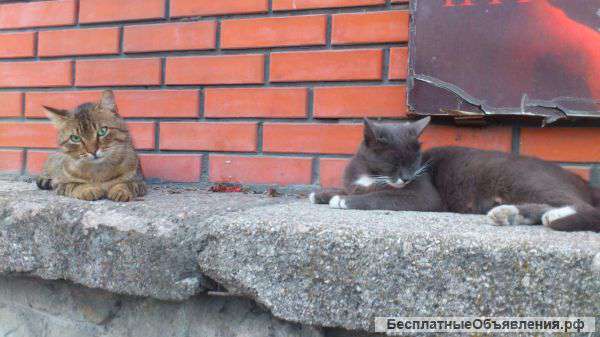 Работа в москве