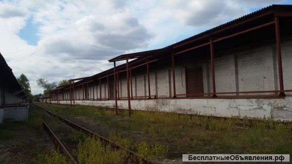 Сдам в Аренду