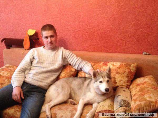 Повар. Выездное обслуживание