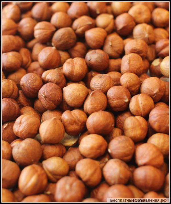 Фундук очищенный 13-15 от производителя