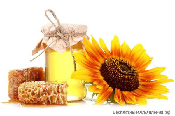 Оптом мед подсолнечный