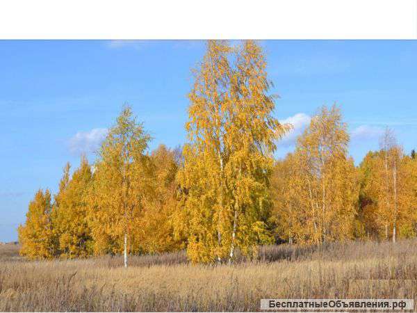 Участок на Новорижском ш