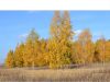 Участок на Новорижском ш