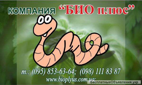 Маточного поголовья технологических червей для биогумуса и для рыбалки