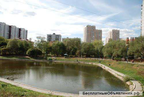 Сдаю однушку