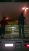 Перец Болгарский от производителя. Доставка по России, 28 р/кг
