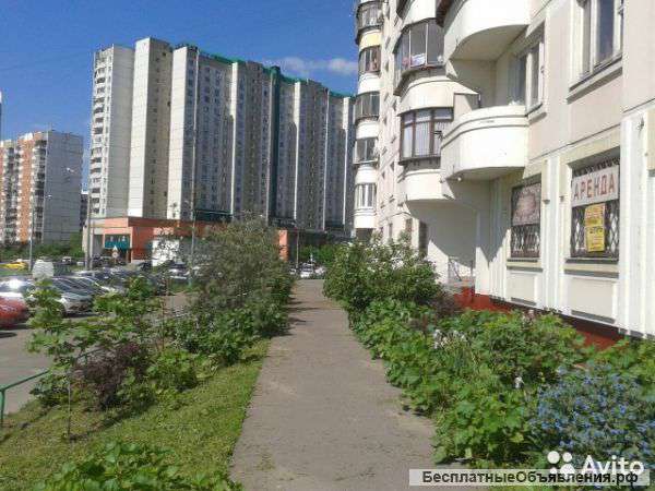 Сдаю помещение под офис 14м без посредников