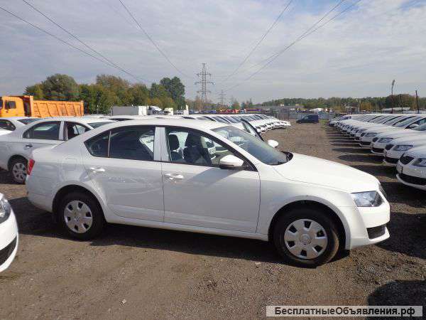 Прокат авто Skoda Rapid и Skoda Octavia 2015 г.в.