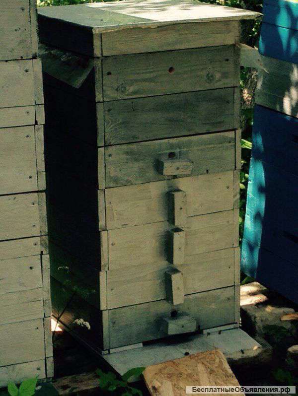 Ульи для пчел