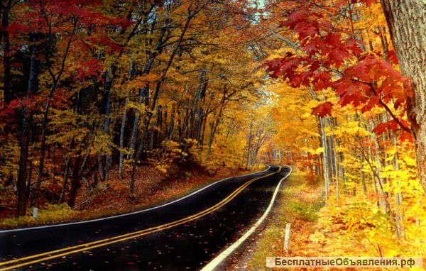 Ремонт дорожного покрытия, асфальтные работы