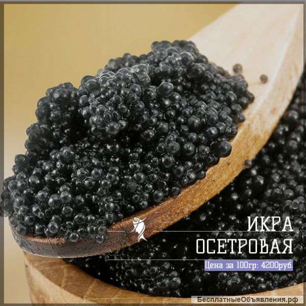 Сытый Барин - Красная икра, рыба, морепродукты в СПБ