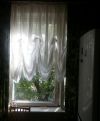 Ул. Днепропетровская д.39