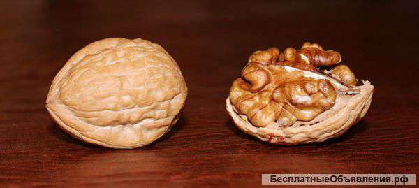 Кубанский Грецкий Орех