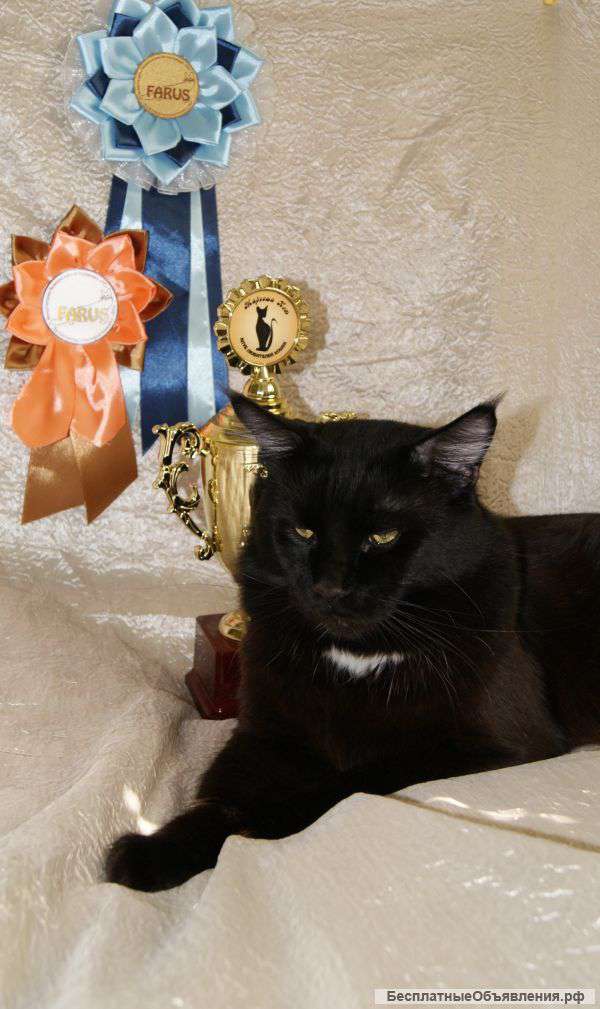 Приглашаем на вязку