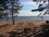 Дача 20,8 соток у Залива. Озерки, Зеленая Роща. Выборгский район.