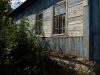 Дом + пол гектара земли. Природа супер