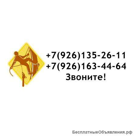 Удаление деревьев, работают профессионалы