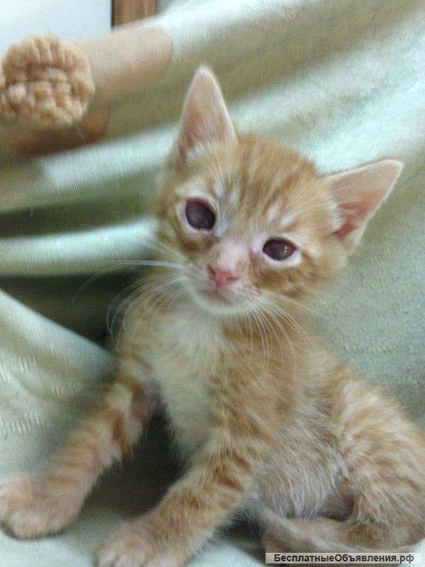 Вопрос жизни и смерти