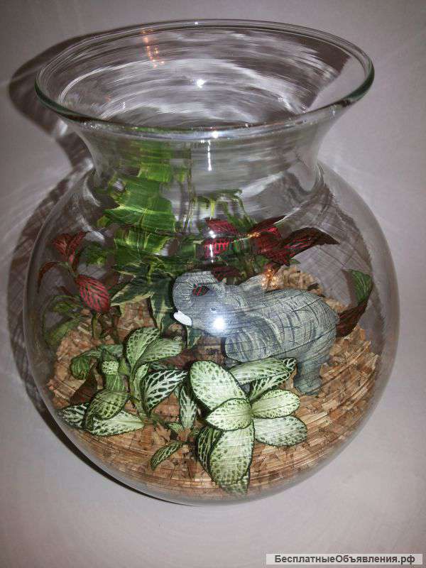 Флорариум "Джунгли"