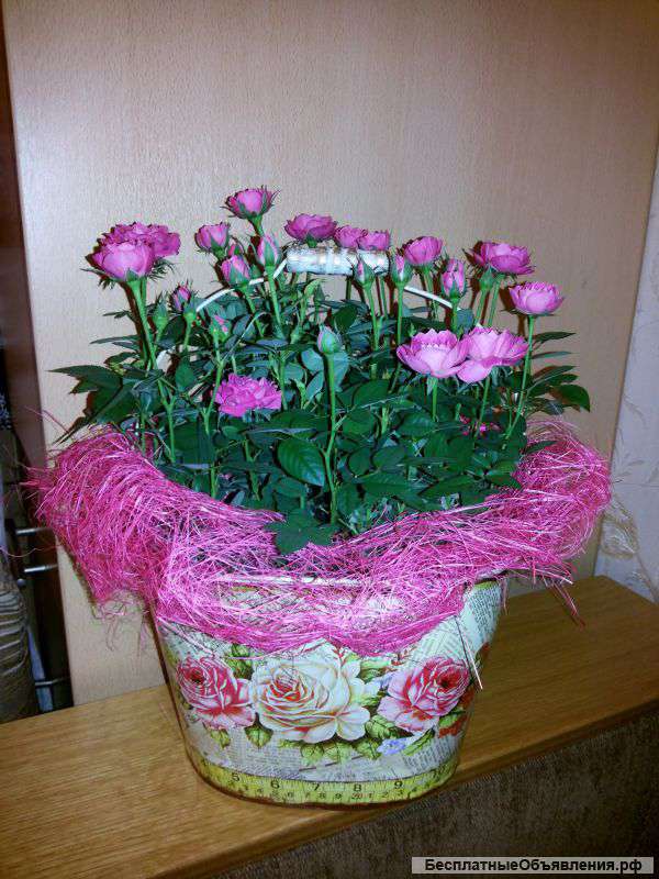 Корзина с розами