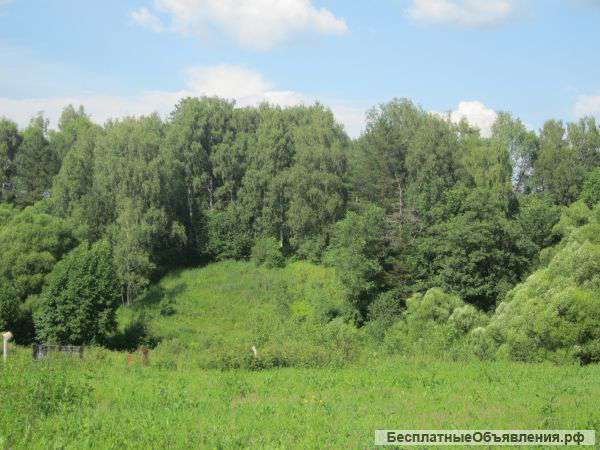 Прилесной земельный участок с панорамным видом в д. Семеновское, Серпуховский район, Симферопольское