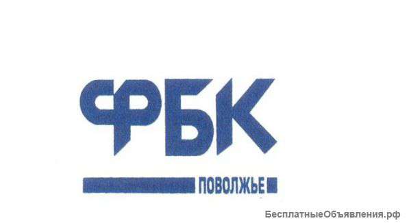 Ассистент аудитора