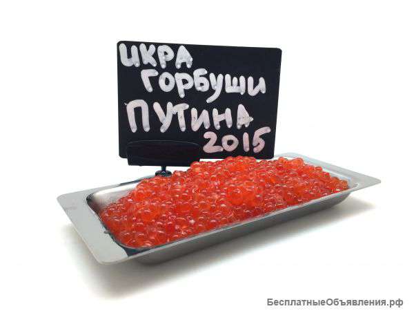 Икра горбуши Камчатка 650руб.путина 2015