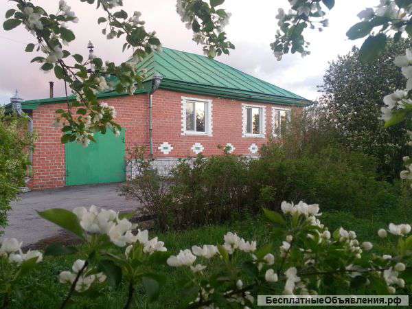 Дом в д. Железный Перебор.