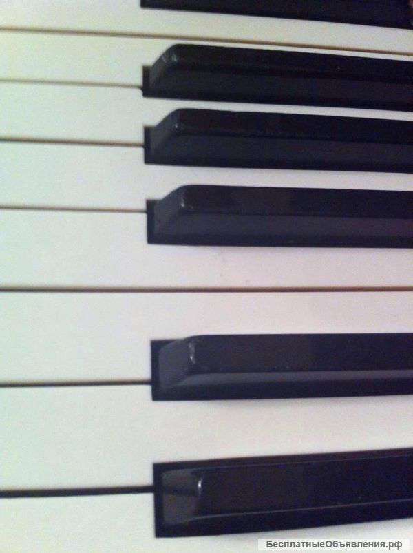 Репетитор фортепиано, сольфеджио ( м.Академическая)