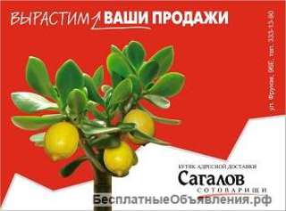 Требуется курьер-почтальон