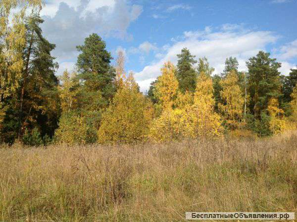 Участков 6,7,8,9,10, 15,20 соток, Раменский район, Строкино, ул.Школьная