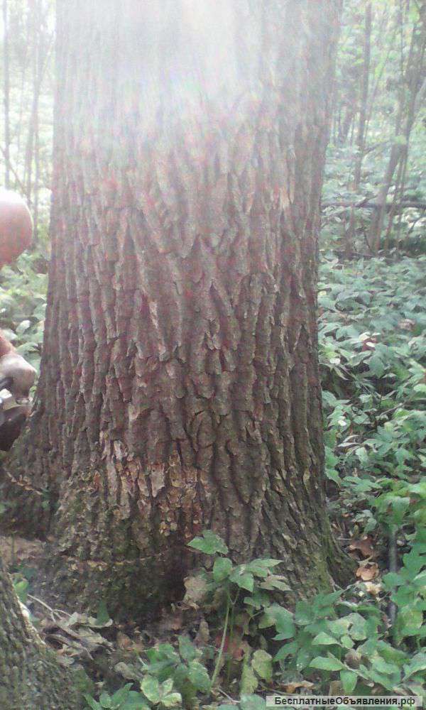 Колода разделочная