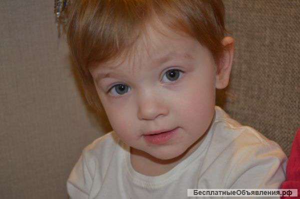 Частный детский сад МАЛЮТКА