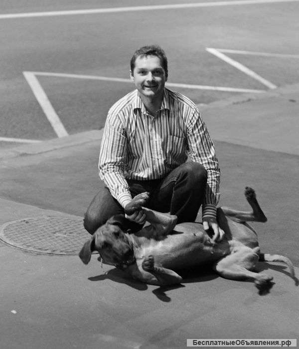 Семейный психолог