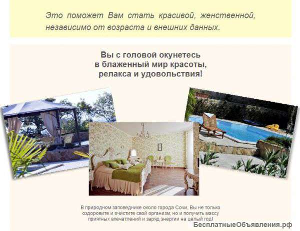 Приглашаем на программу Detox и Borakami