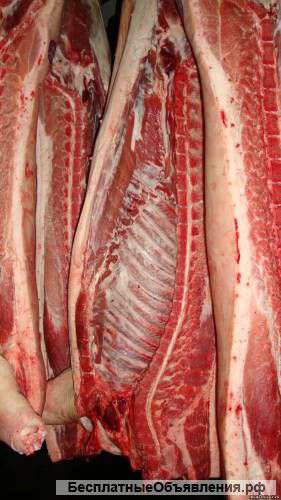 Мясо свинины охлажденка