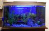 Аквариум с тумбой и оборудованием (100 литров)