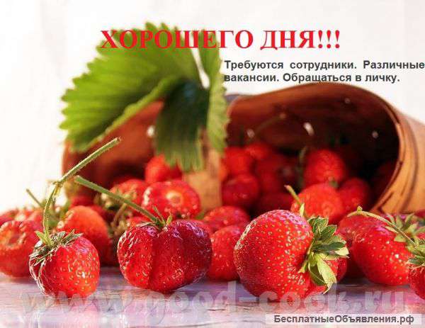 Менеджер по развитию интернет-магазина