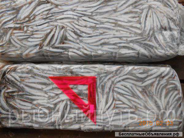 Приглашаем оптовиков на путину хамсы осень 2015 Крым РФ