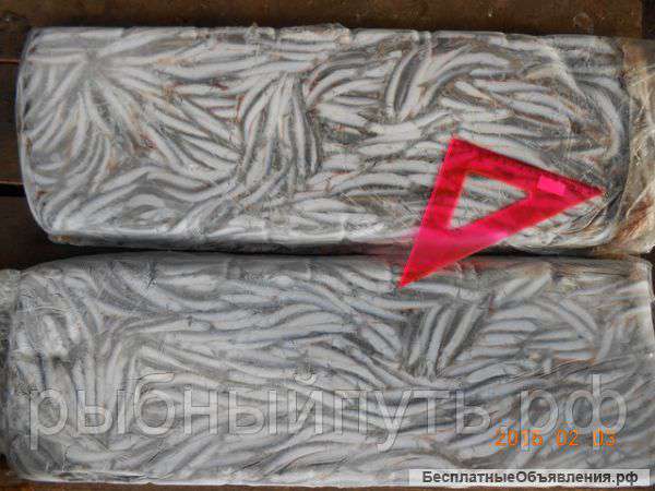 Приглашаем оптовиков на путину хамсы осень 2015 Крым РФ