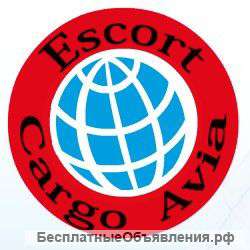 Автодоставка грузов, Грузовые перевозки