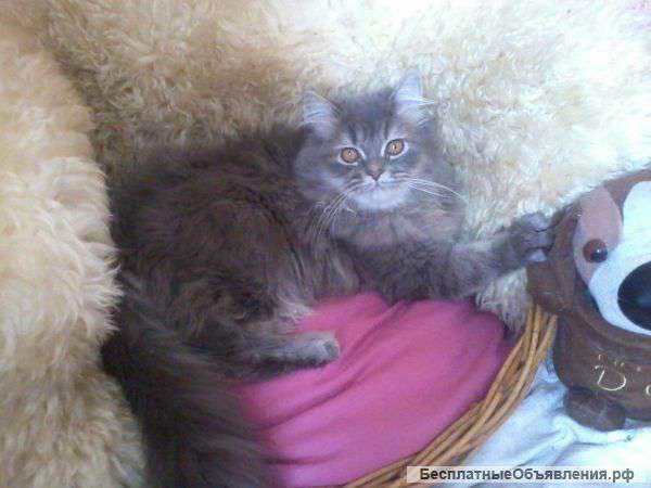 Крупный клубный мальчик