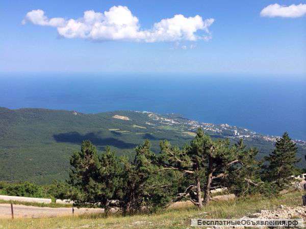 Квартиру в Крыму